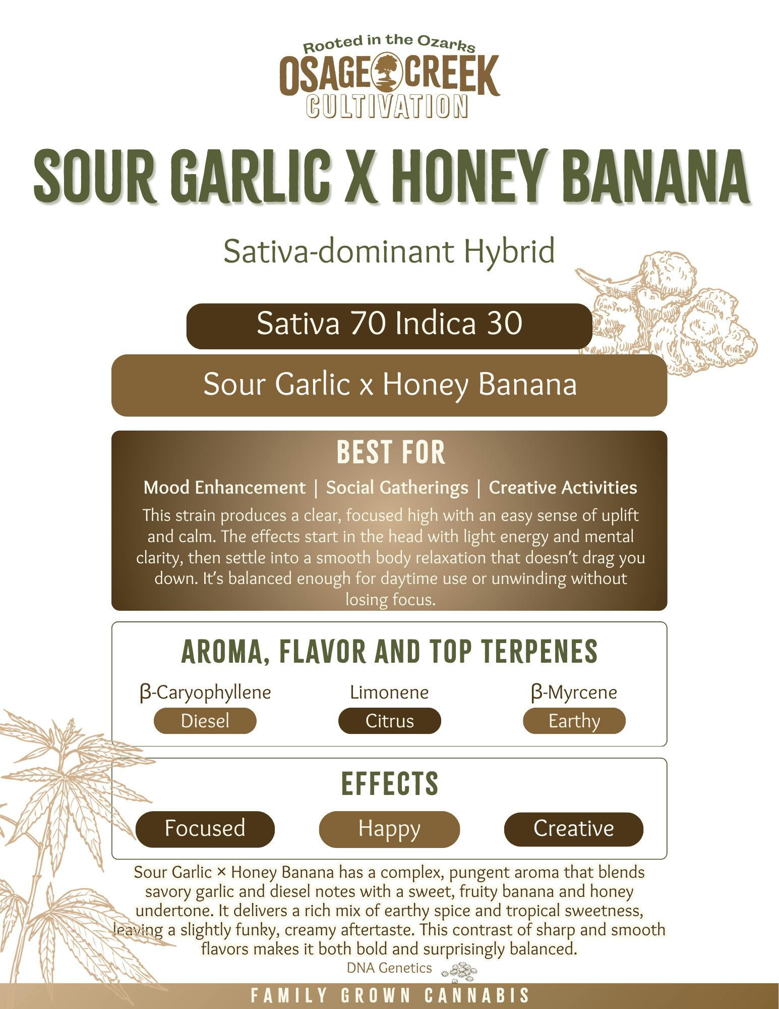Sour Garlic x Honey Banana Flower