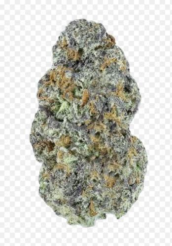 White Coco Pie #2 Whole Flower