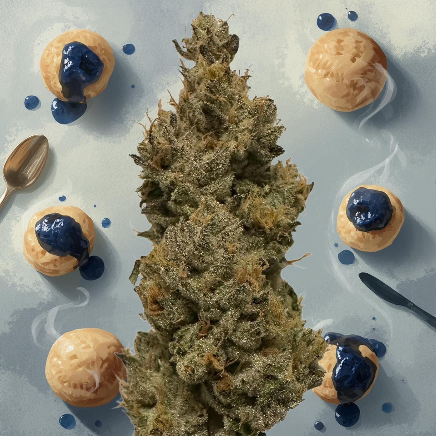 Biscuit Blues - Flower - 3.5g