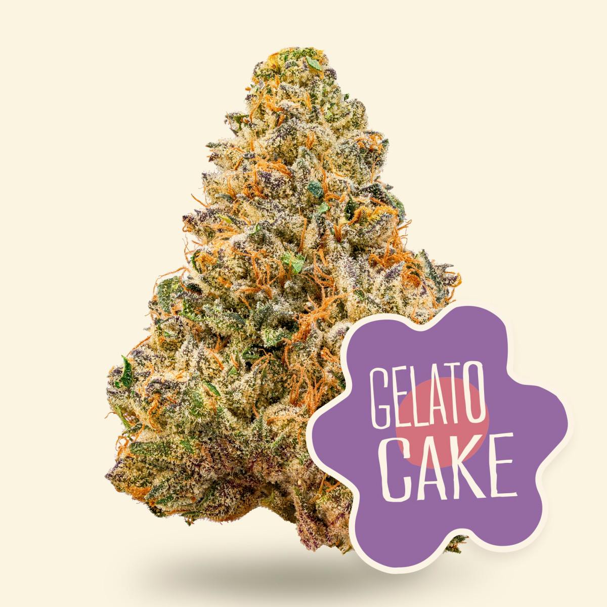 Gelato Cake - 3.5g