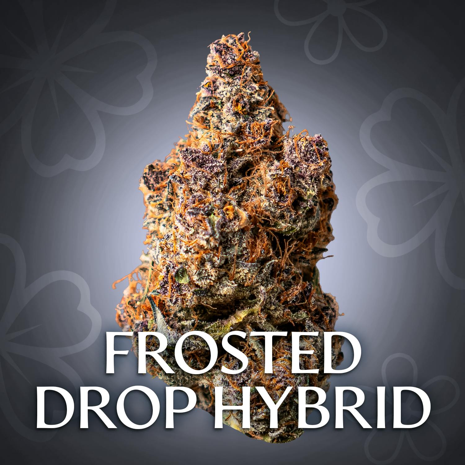 Frosted Drip 3.5g