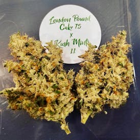 AR CRAFT London Pound Cake X Kush Mints Hybrid Indica 7g