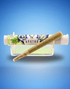 Acapulco Gold (S) 1g PRJ I Apotho Therapeutics