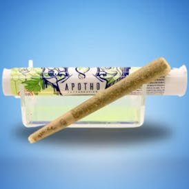 Honey Banana (H) Pre-Roll