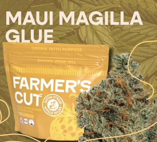 Farmer's Cut | Maui Magilla Glue | Smalls | 14G by Farmer's Cut