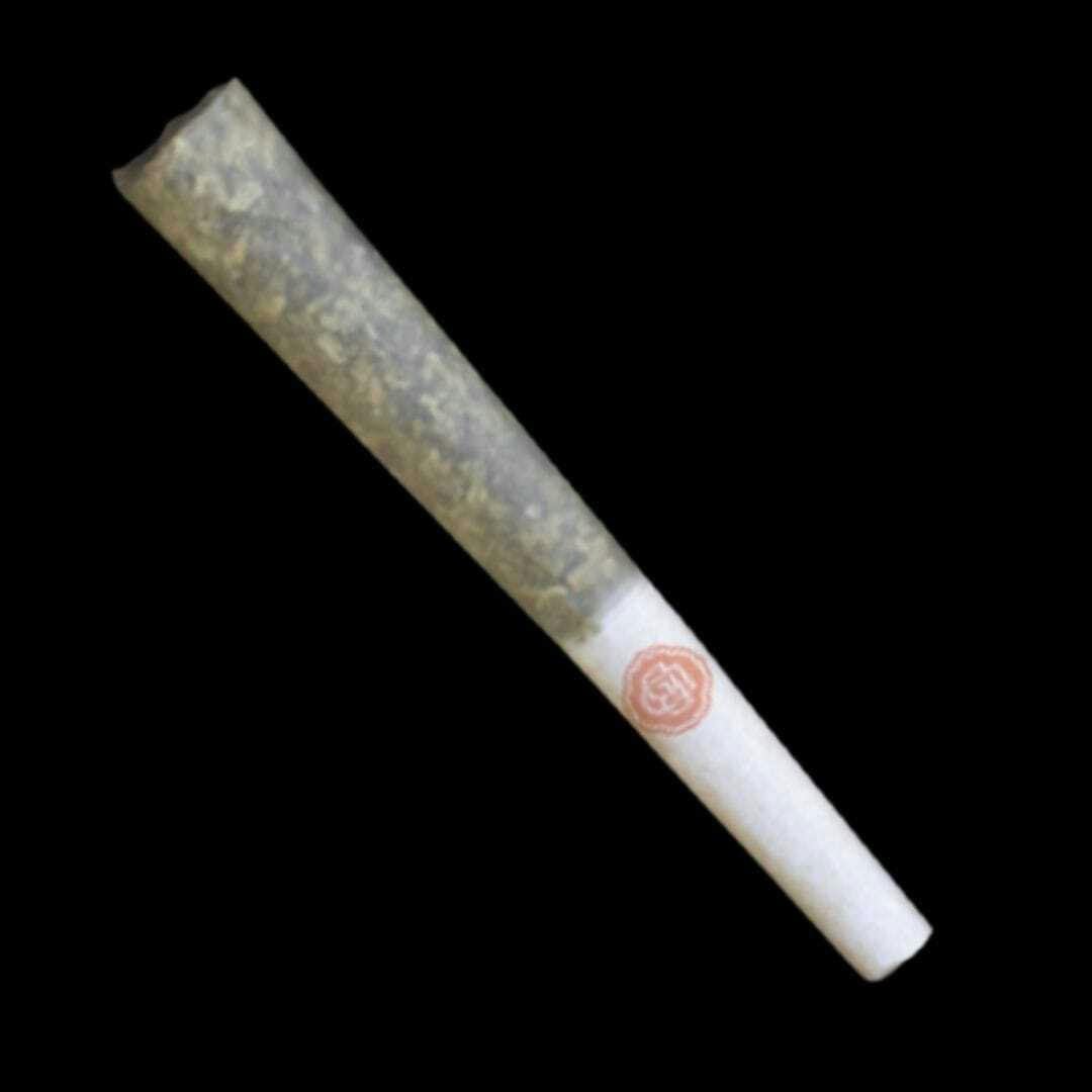 Sour Grapes Preroll .5g (S)