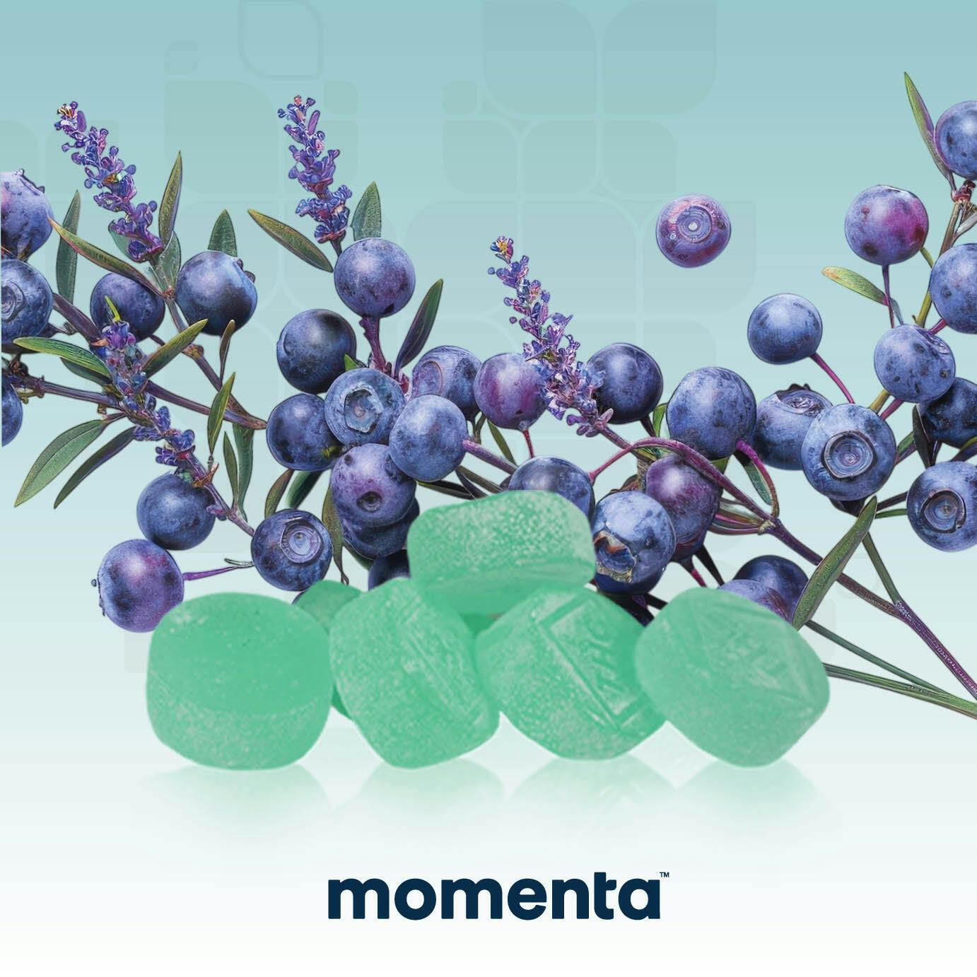 Blueberry Lavender Troches [1:1 THC:CBN] 10ct