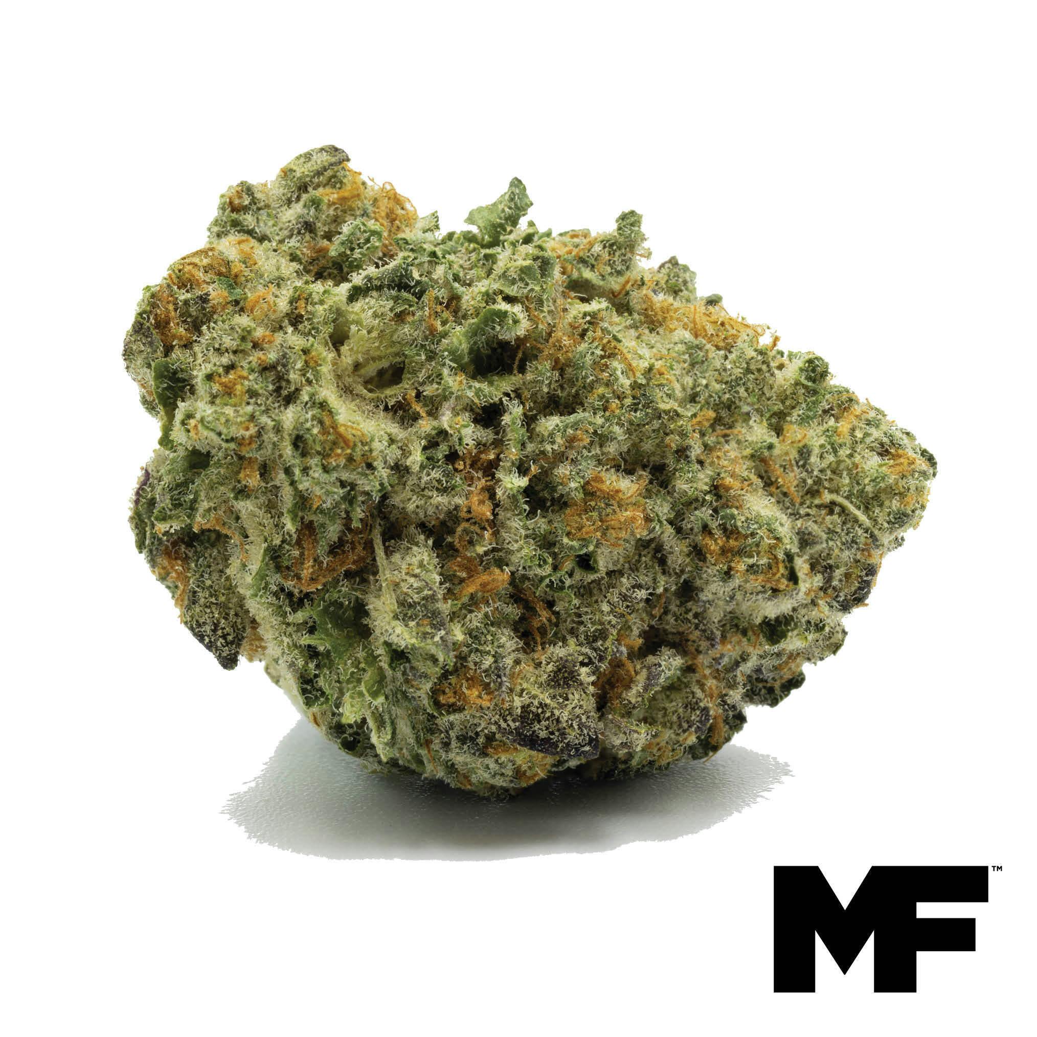 Admiral Apple Flower at Trulieve Medical Marijuana Dispensary Harrisburg