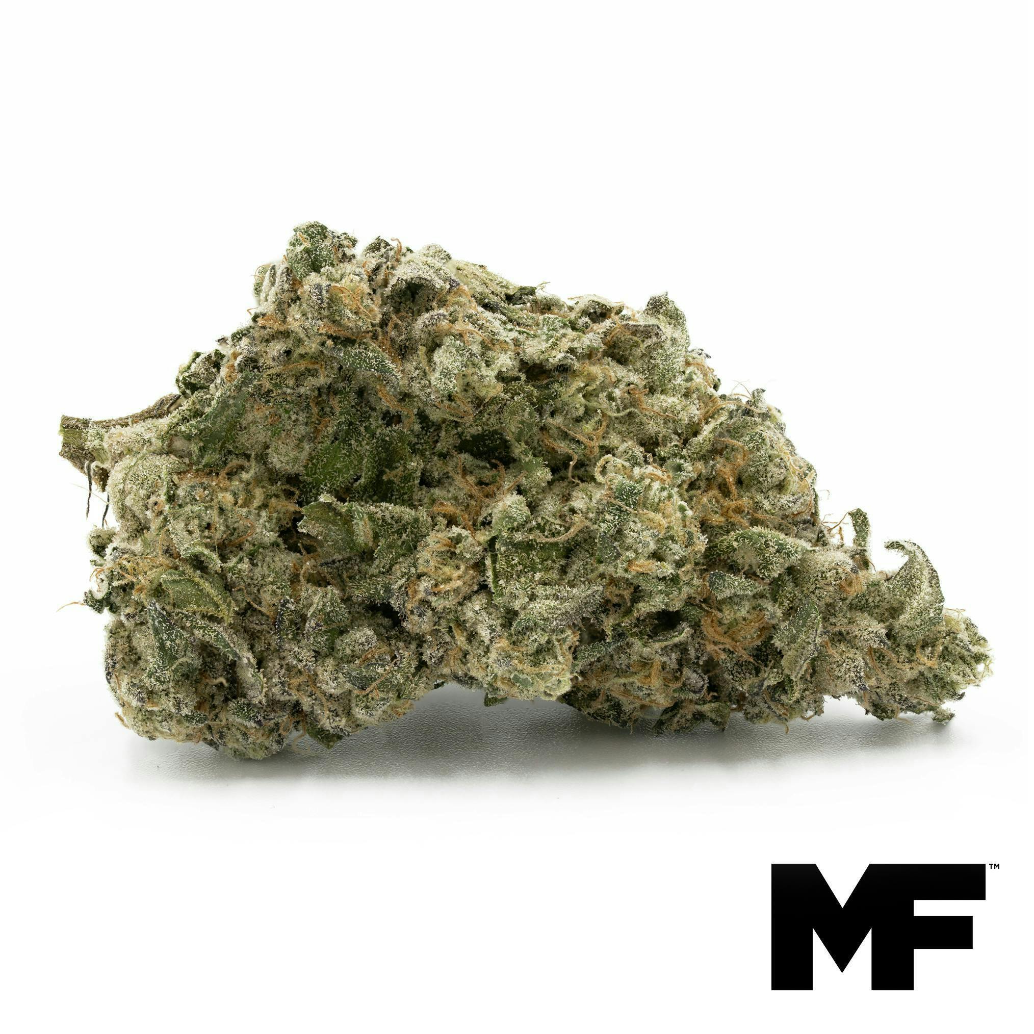 GSH MNTS Flower at Trulieve Lancaster Dispensary