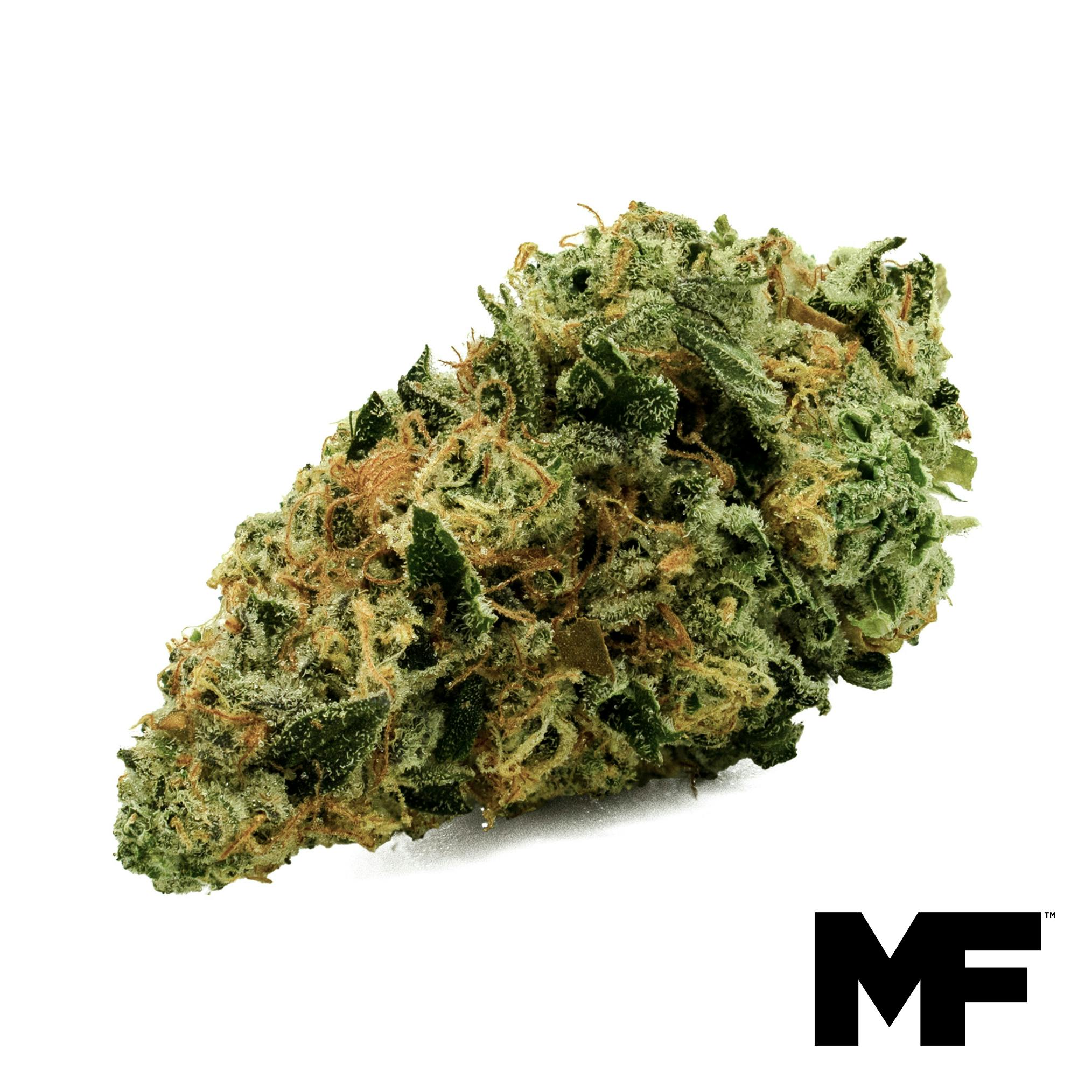 Shadowberry Flower at Trulieve Medical Marijuana Dispensary Harrisburg