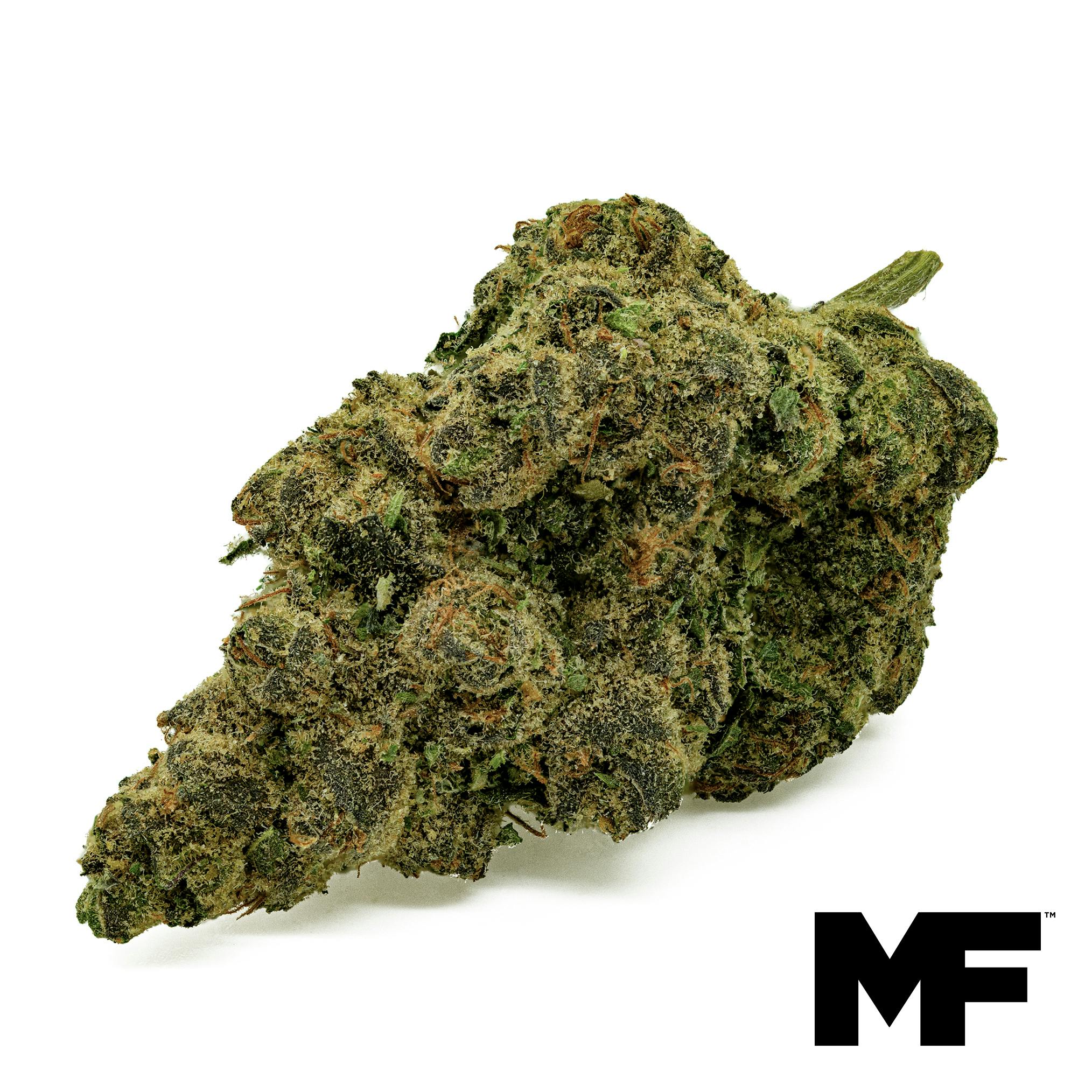 Funk Mountain Flower at Trulieve Medical Marijuana Dispensary Harrisburg