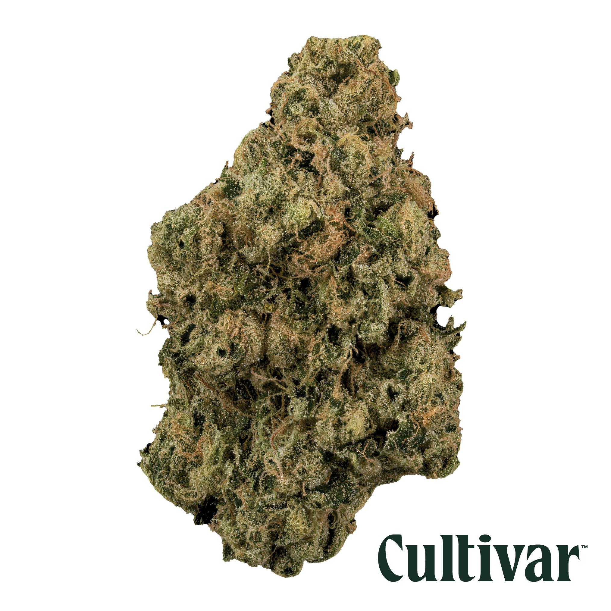 Keystone Kush Flower at Trulieve Lancaster Dispensary