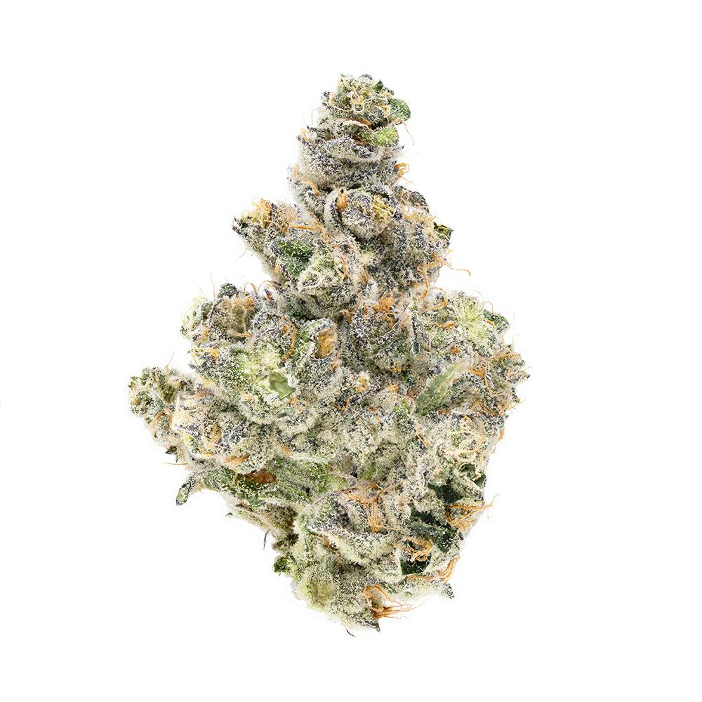 Chimera #3 Flower