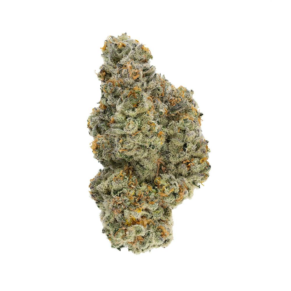 Georgia Pi Flower