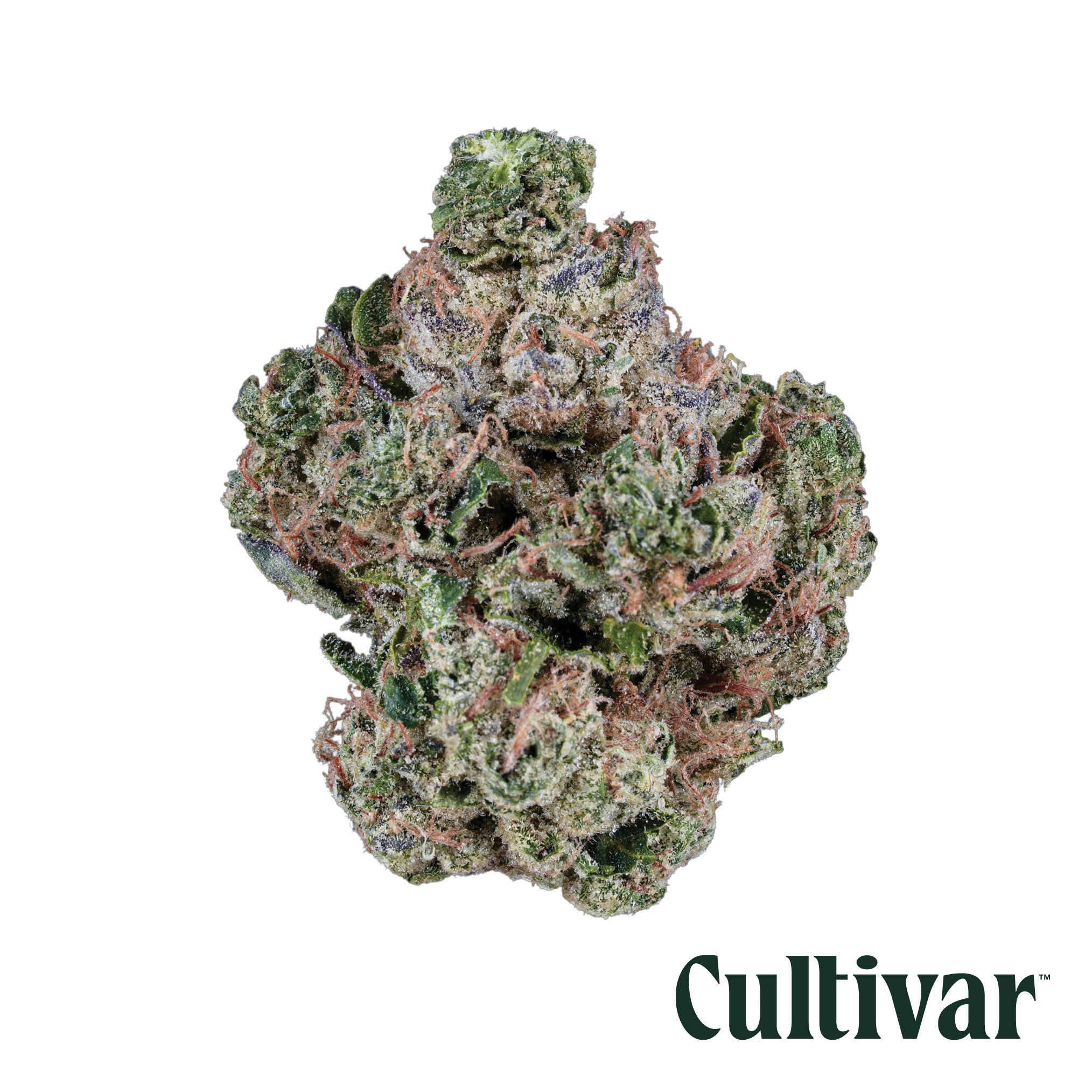 Bio Diesel Flower