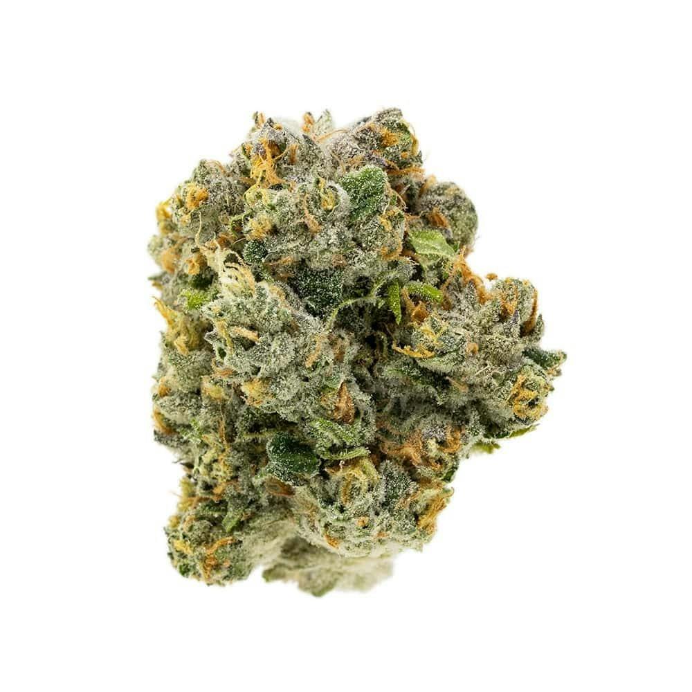 Royal Durban Flower