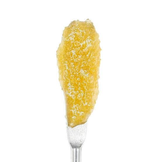 Papaya Don #4 Live Sugar