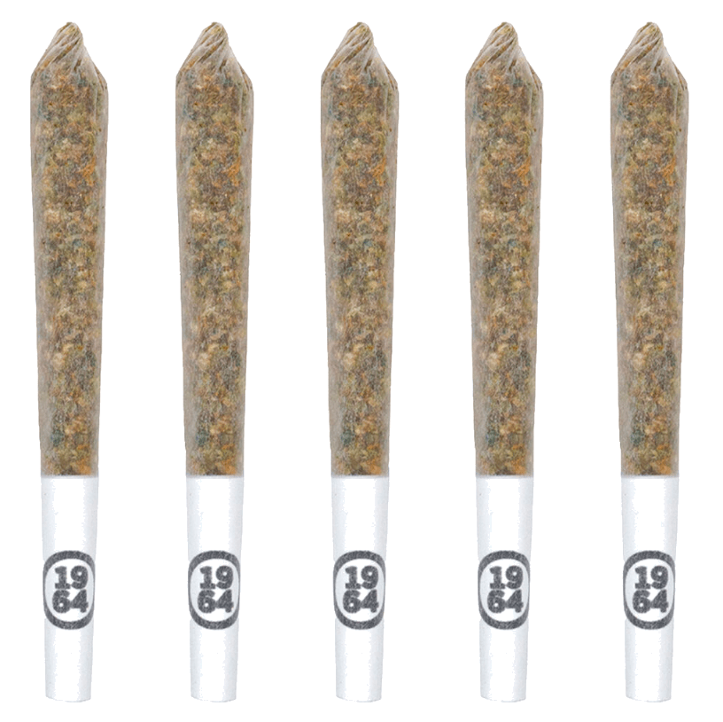 Comatose Kush (1964) (5 x 0.5g)