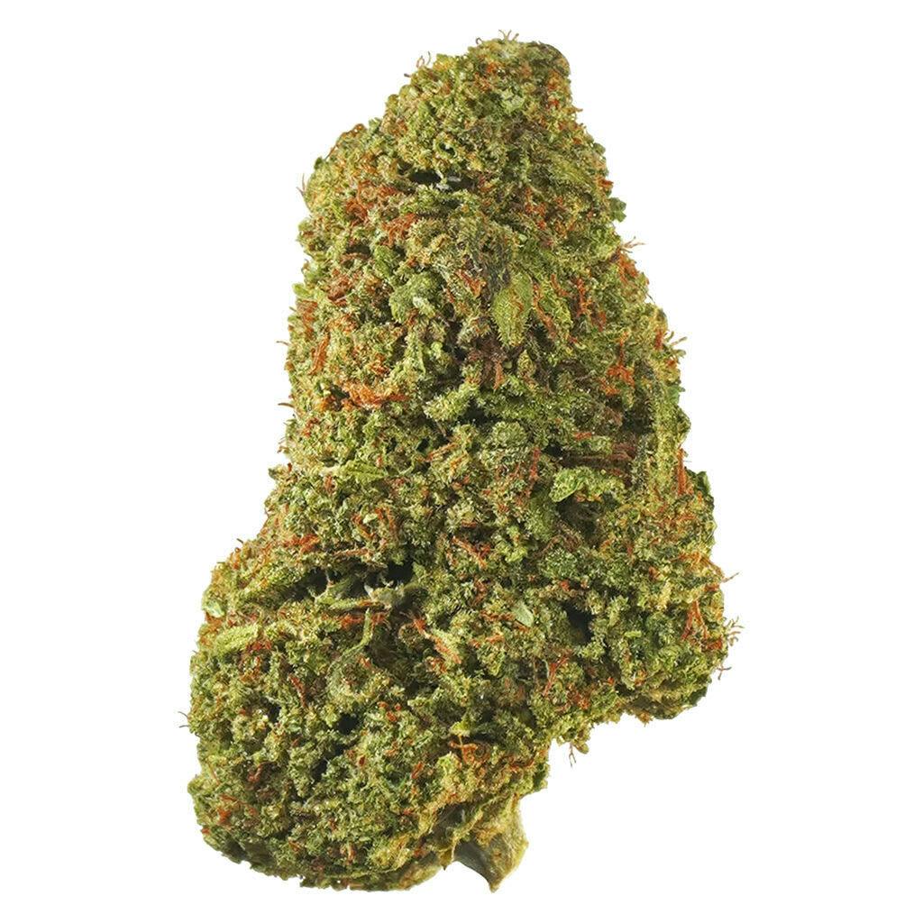 Tropicanna (1964) (7g)