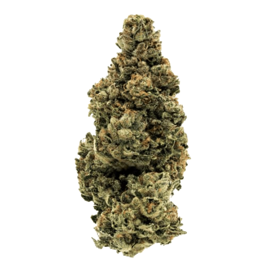 Black Zoap ("Bandwagon" rotational) (Homestead) (7g)