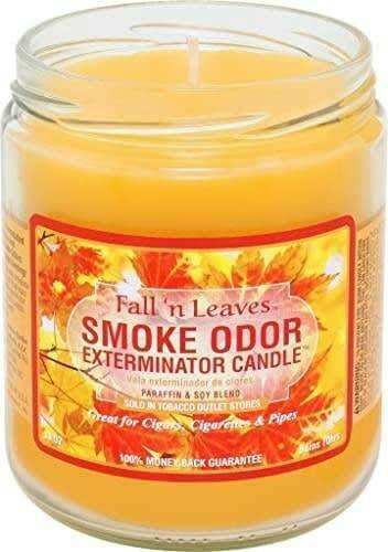 Smoke Odor 13oz Candle - Fall N Leaves