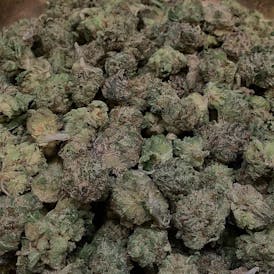 Lemon Cherry Gelato Smalls