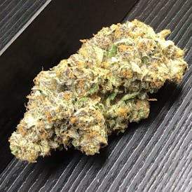 THICC - Night Tripz