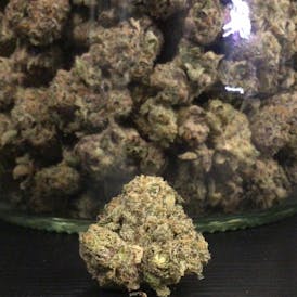 JIVE - Envy 28G Only 100 OTD