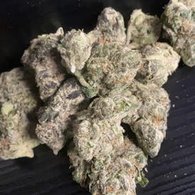 JIVE - Lemon Cherry Sherbert
