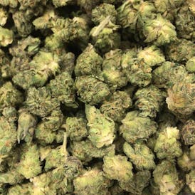 Lemon Cherry Gelato Smalls