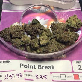 Daily Grind - Point Break Smalls - 7G