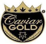 Cavi Cone - The GOAT 1.3G Infused Pre Roll