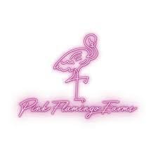 Pink Flamingo - 918 Burnt Orange Pre Roll