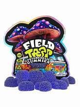 Field Trip - Blueberry Blastoff Mushroom Gummies