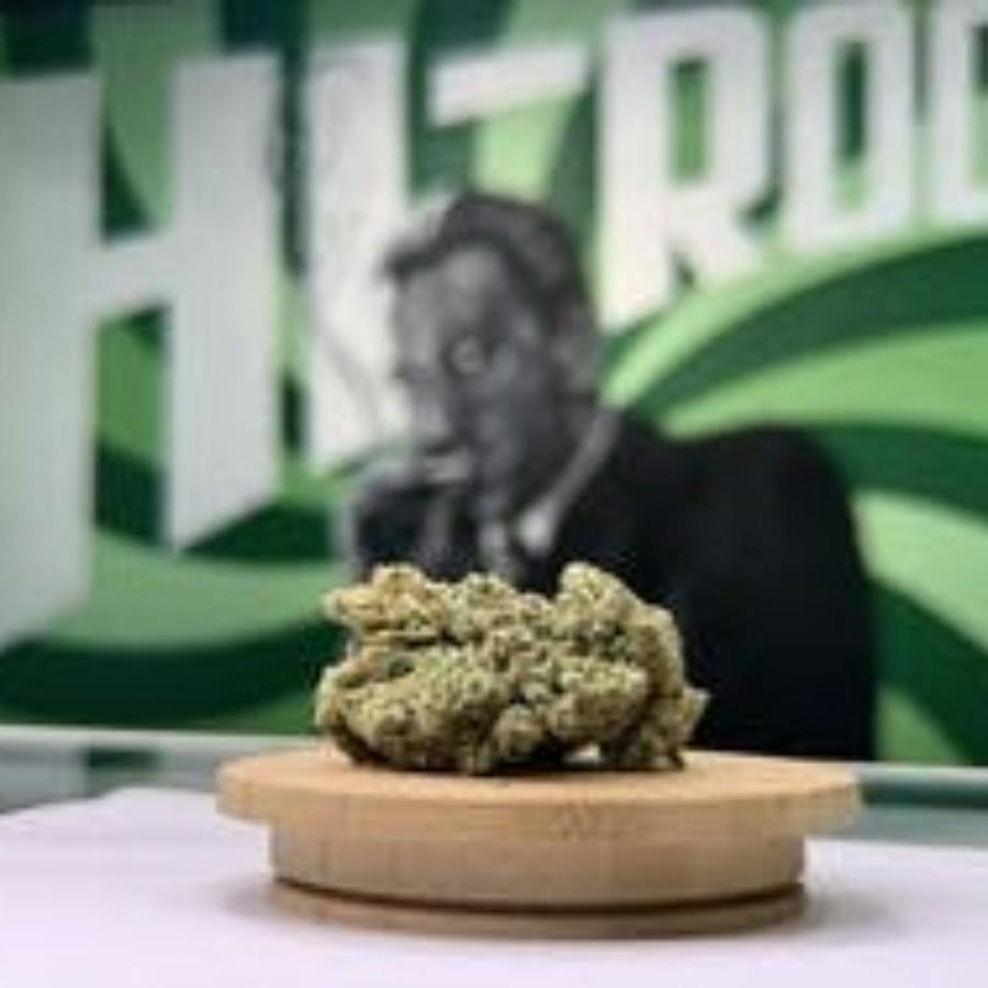 GMO - Hi-Roots Norman at Hi Roots Cannabis Co. - OKC