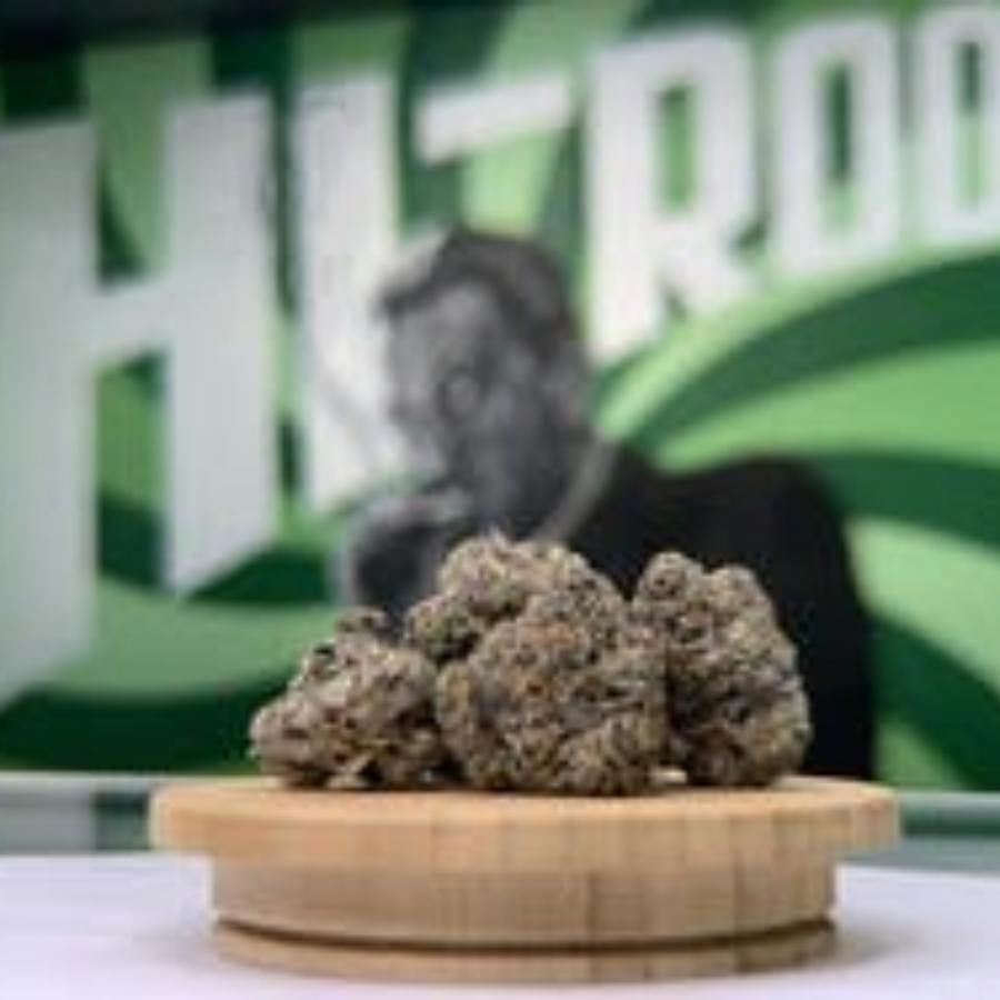Gelato Cake - Hi-Roots Norman at Hi Roots Cannabis Co. / Vape Head