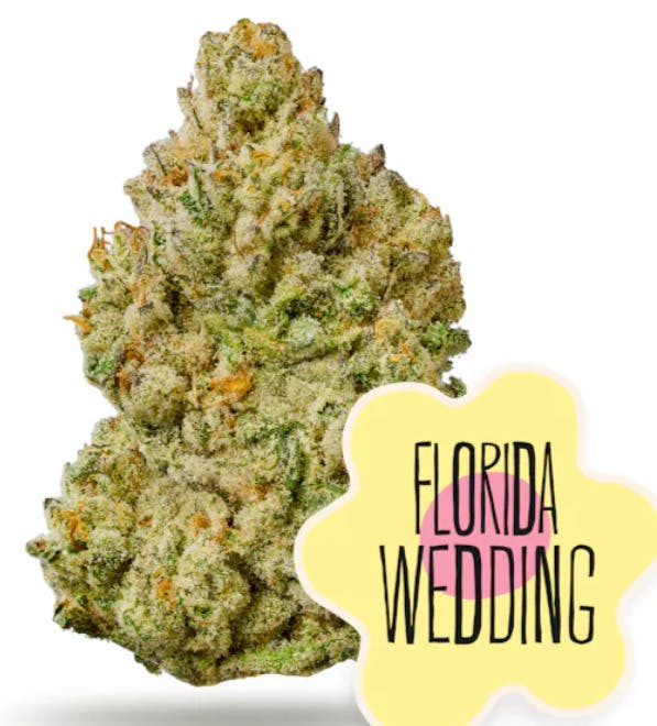 District Cannabis - Cherry Limeade Cake 1G