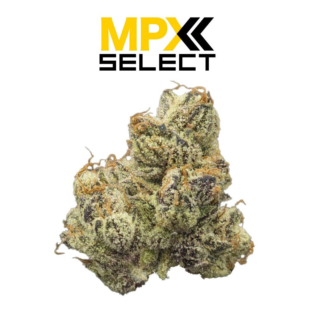 Mpx Select Gmo