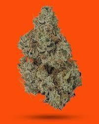 ICC | Ziablo | Big Buds | 3.5g by IC Collective