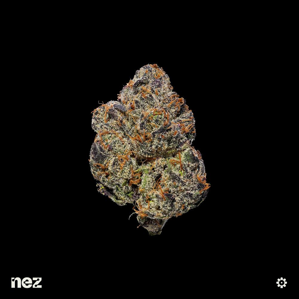 Nez | BOLO Runtz | Premium | Flower