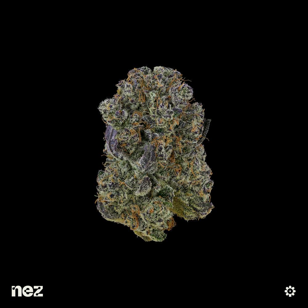 Nez | Blueberry Sugar | Premium | Flower