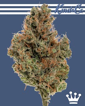 Kind & Co. | Guava IX | (3.5g)
