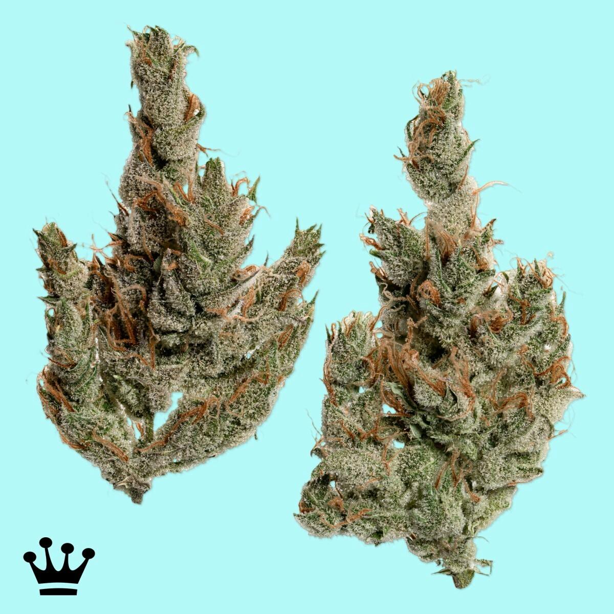 Kind & Co. | Prayer Tower | (3.5g)