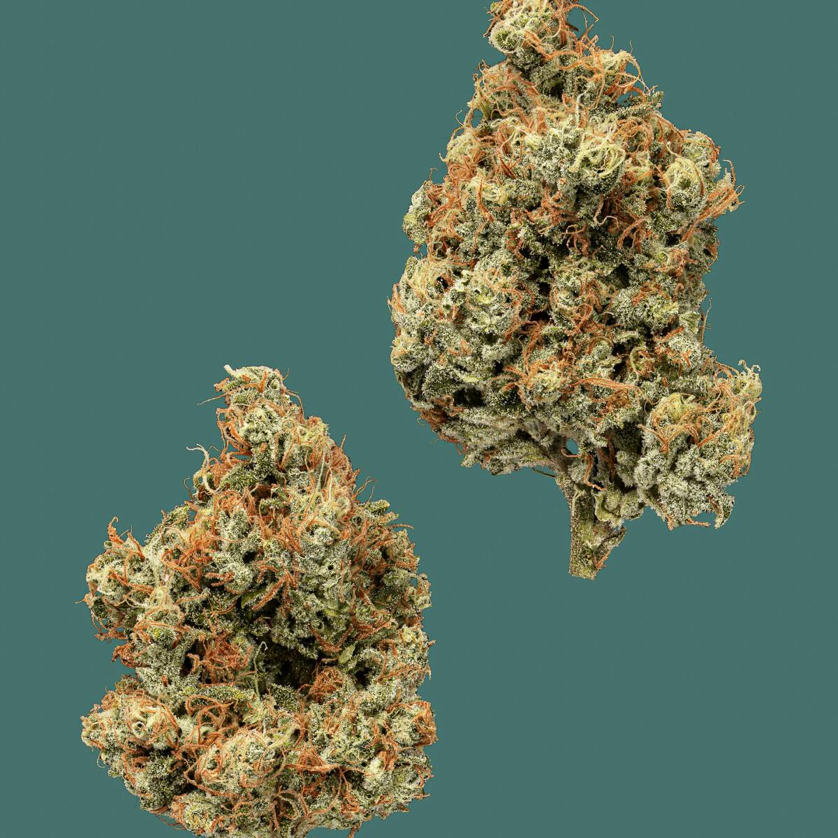 Kind & Co. | Ghost Train Haze | (3.5g)