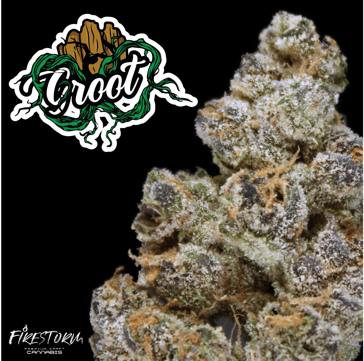 Firestorm | Groot | (14g)