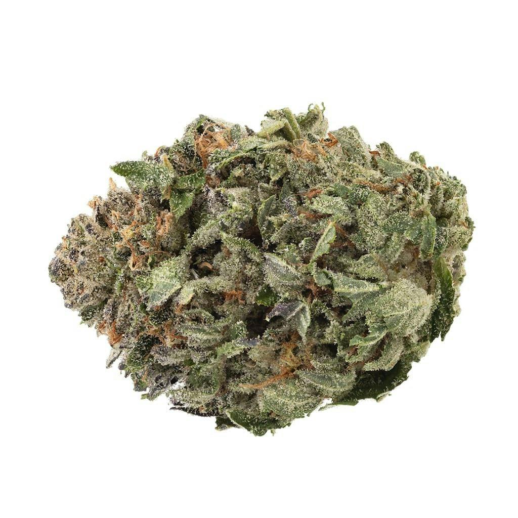 Organic Comatose 3.5g Dried Flower