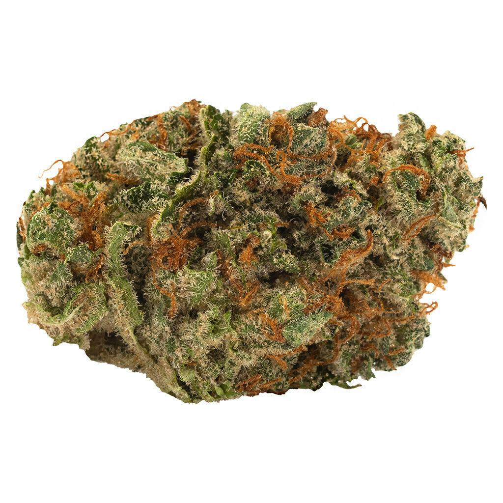 Slow Lane Indica 3.5g Dried Flower