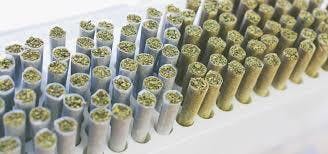 ECC 1 GM PRE-ROLL - Ricky Bobby at Evergreen Cannabis Co