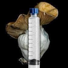 UTB Isolated Spore Syringe (microscopic/research purposes only)