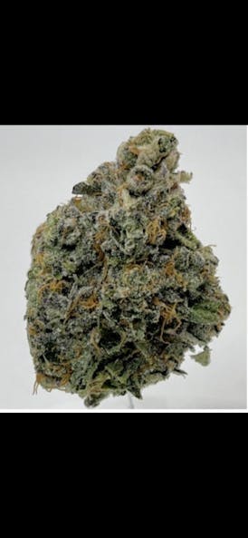 Bavarian Cream - Hybrid Indica - Fuego